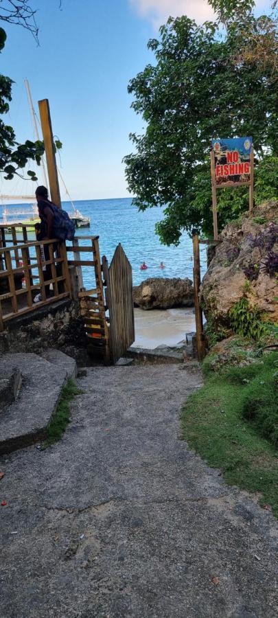 Komfort Getaway Villa At Countrymist Ocho Rios Exteriér fotografie